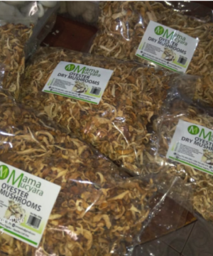 Oyester Dry Mushrooms