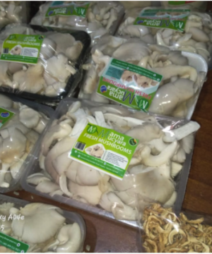 Oyester Fresh Mushrooms