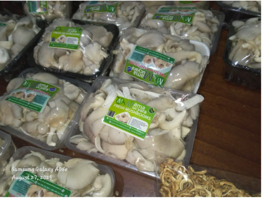 Oyester Fresh Mushrooms